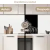 Zebra - Dier - Zwart keuken achterwand 2 middel -voor-na2_ES