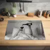 Lakens - Armen - Wijn - Glas Inductie beschermer vinyl 3mm klein -sfeer5