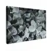 Natuur - Planten - Eucalyptus - Bladeren canvas 2cm klein -z3d