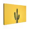 Cactus - Groen - Minimalistisch canvas 2cm klein -z3d