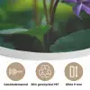 Viooltjes - Paars - Bloem - Bladeren Akoestische PET Vilt - Rond klein -closeup_NL