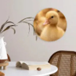Pijltje - Eend - Natuur - Geel Wandcirkel kunststof plaat 5mm dik klein -sfeer4