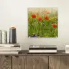 Lente - Bloemen - Rood - Klaproos - Gras - Groen plexiglas 5mm klein -sfeer1