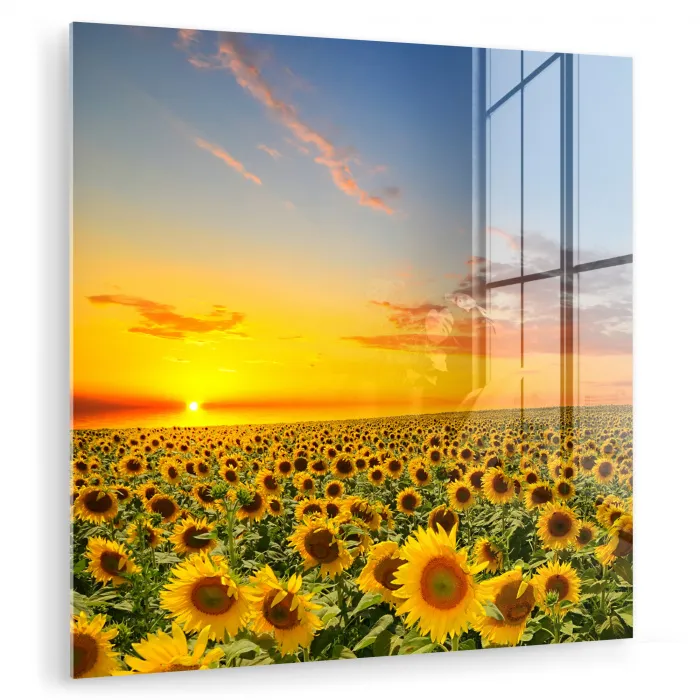Bloemen - Zonnebloem - Zonsondergang - Nacht - Oranje plexiglas 5mm klein -zzzproduct_nieuw