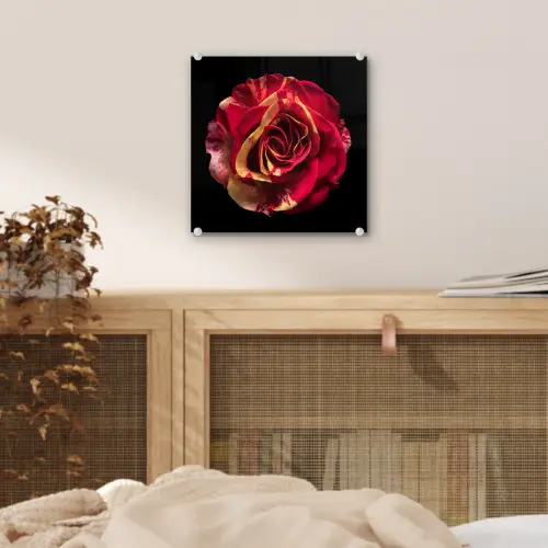 Bloem - Roos - Rood - Zwart plexiglas 5mm klein -sfeer4