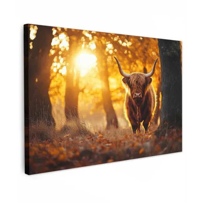 Buiten canvas - Schotse hooglander - Bos - Herfst - Dieren - Natuur - Bladeren