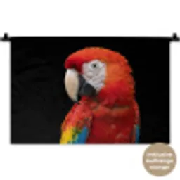 Ara - Portret - Rood Wandkleed katoen klein -t3d_DE