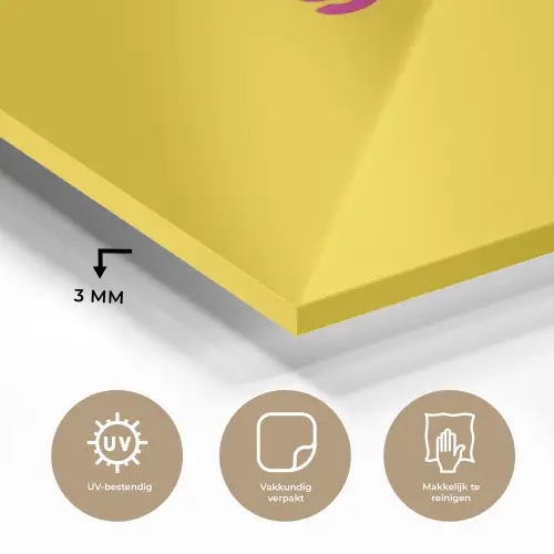 Smile - Roze - Geel plexiglas 5mm klein -sfeer2
