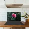 Blad - Chrysant - Roze - Schaduw keuken achterwand spatscherm klein -sfeer2