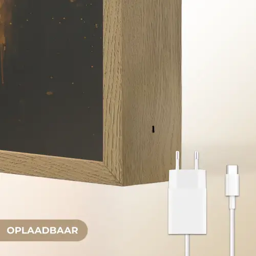 Leeuw - Goud - Druppels Light Box met batterij (Wandlamp) middel -USP_websiteoplaadbaarNL