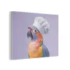 Papegaai - Koksmuts - Paars - Cute PET vilt klein -3d