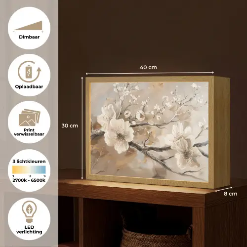 Bloemen - Natuur - Wit - Bloesem - Abstract Light Box met batterij (Wandlamp) middel -USP_websiteoverzichtNL