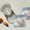 Paardenbloemen - Pluisjes - Wit onderzetter kurk middel -sfeer4