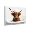 Schotse Hooglander - Bad - Koe - Dieren - Schuim aluminium wit klein -3d