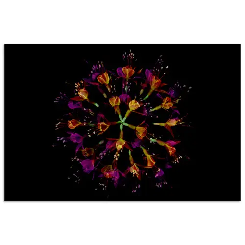 Bloemen - Oranje - Roze - Zwart poster papier klein -3d