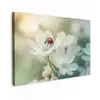 Lieveheersbeestje - Bloemen - Wit canvas 2cm klein -z3d