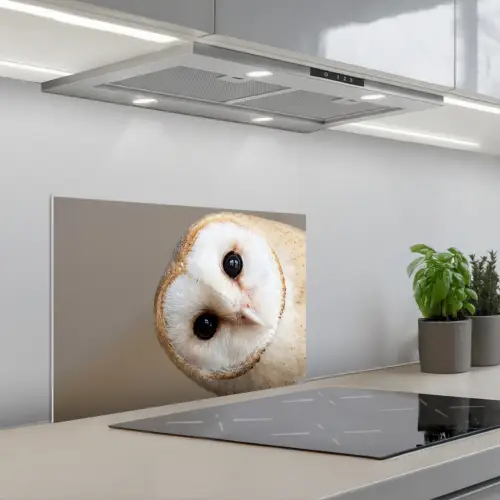 Uil - Bruin - Wit keuken achterwand spatscherm klein -3d_schuin