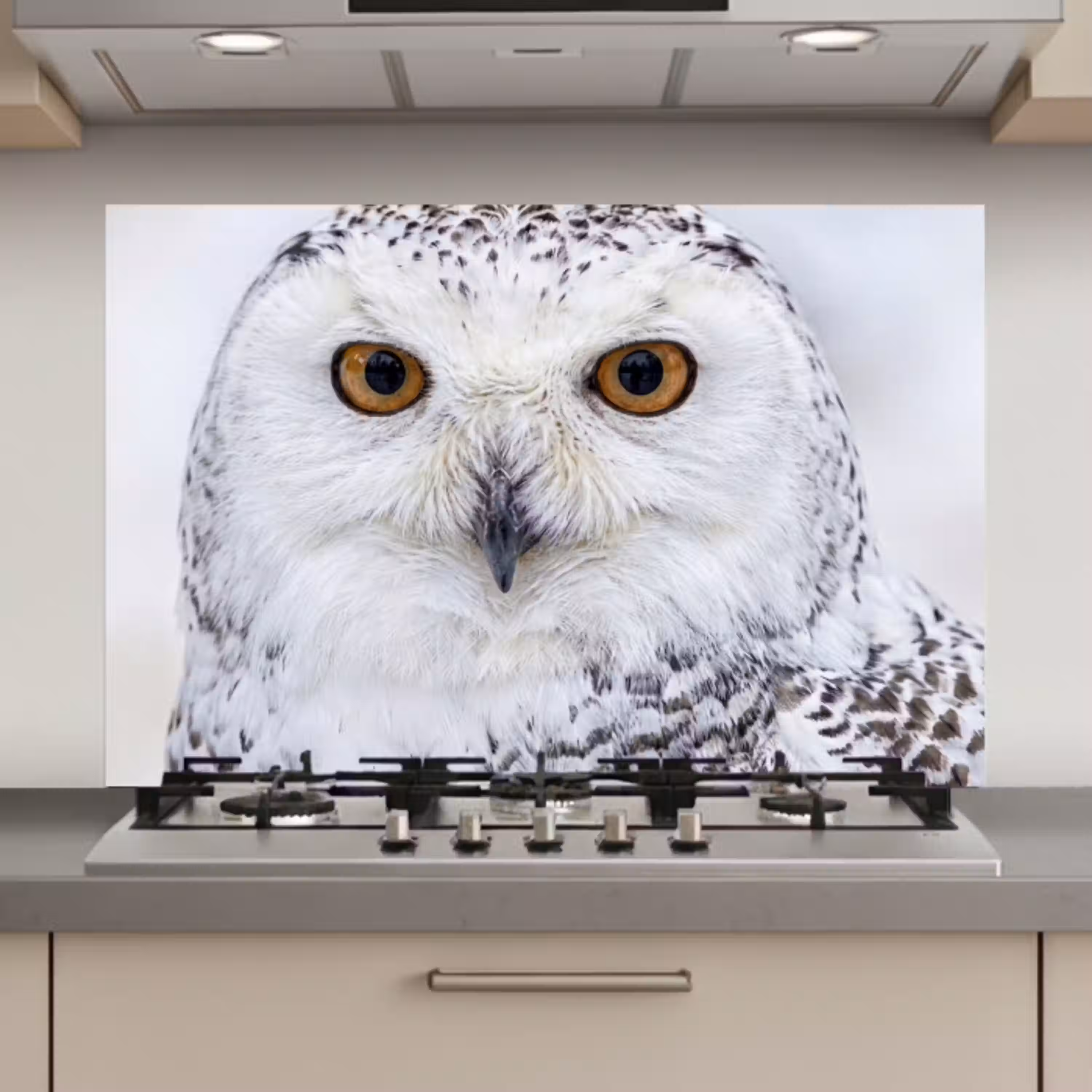 Sneeuwuil - Oog - Wildlife - Wit keuken achterwand spatscherm klein -3d_website