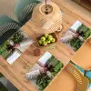 Bieten - Vers - Moestuin Placemat vinyl groot -zzsfeer5_Kitchenyeah-website