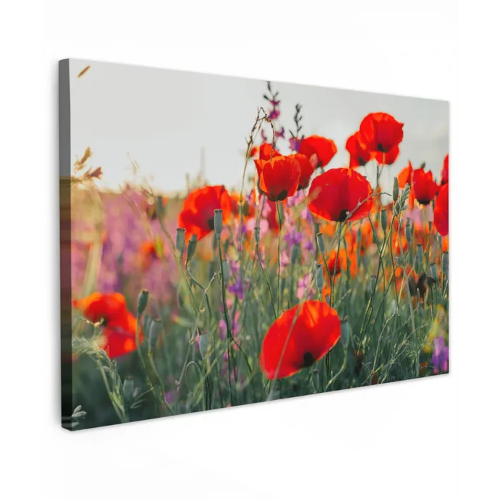 Rode klaprozen in de avondzon Tuinposter op houten frame 2 cm dik klein -3d