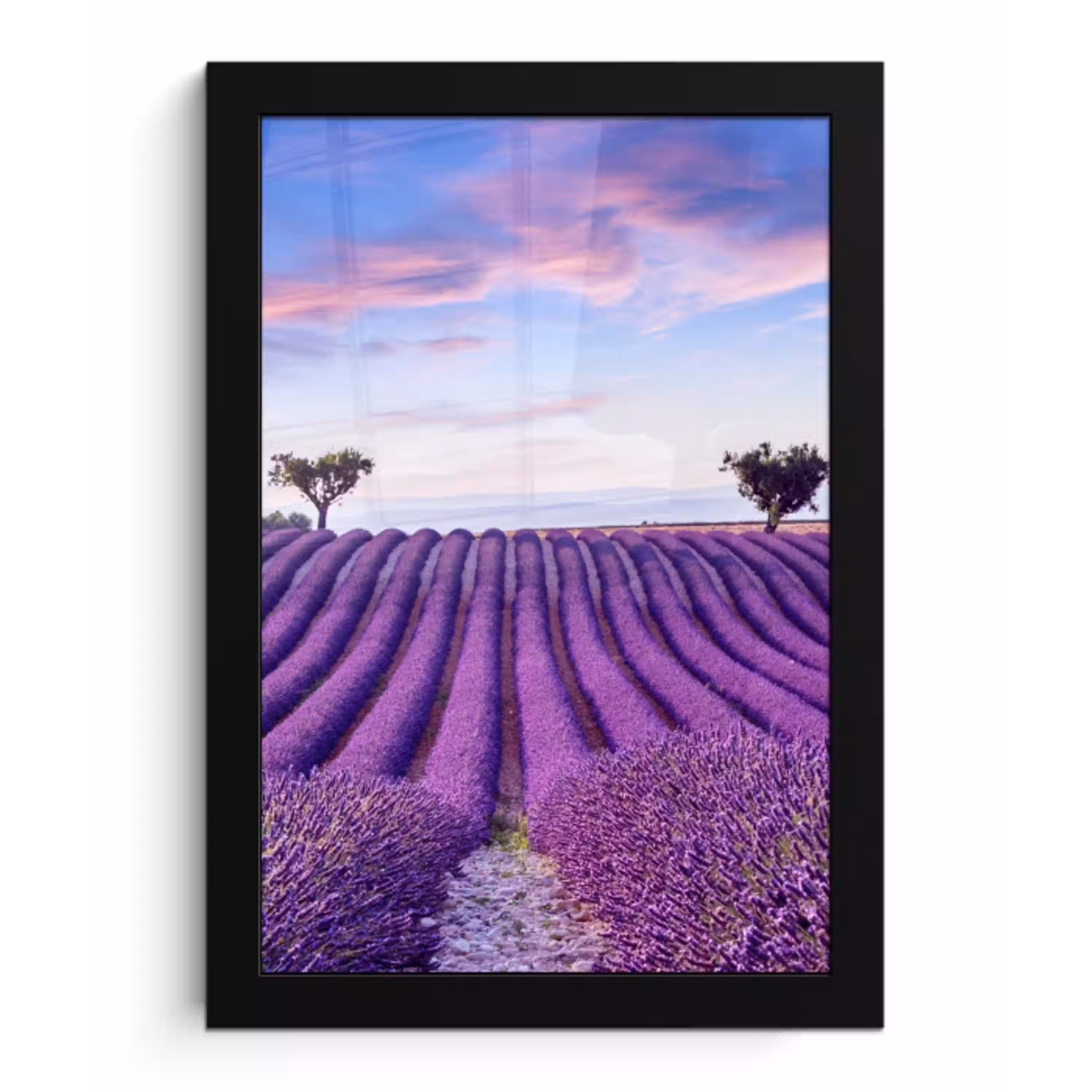 Lavendel - Natuur - Paars - Bomen - Bloemen fotolijst zwart zonder passe partout klein -3d