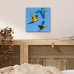 Papagaai - Vliegen - Blauw - Geel aluminium wit klein -sfeer3