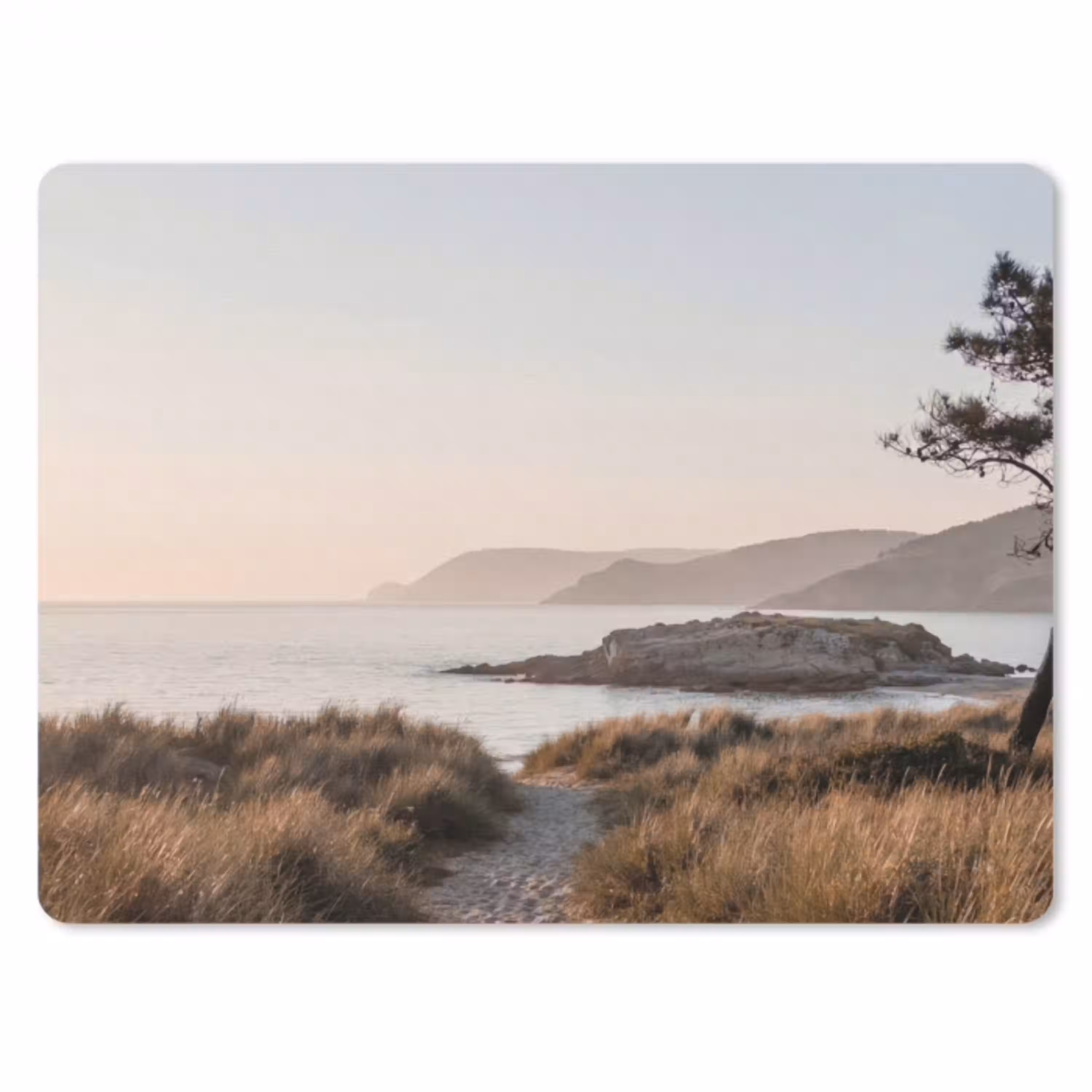 Landschap - Kust - Duinen muismat rubber klein -3d