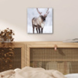 Rendier - Gewei - Toendra - Sneeuw - Wild aluminium wit klein -sfeer3