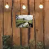 Kat - Beekje - Weide tuinposter los doek klein -sfeer1