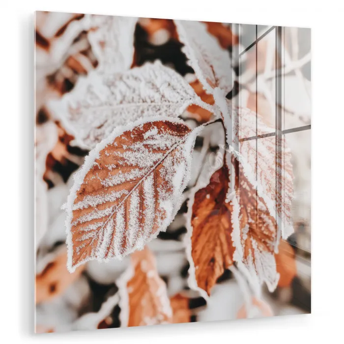 Bladeren - IJs - Winter - Natuur plexiglas 5mm klein -zzzproduct_nieuw