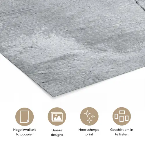 Beton - Scheur - Grijs poster papier klein -closeup_NL