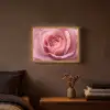 Roze - Roos - Romantisch Light Box met batterij (Wandlamp) middel -sfeer4