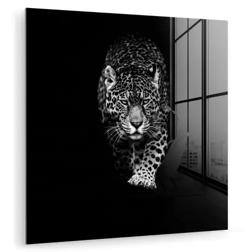 Dieren - Zwart - Luipaard - Wit - Wild plexiglas 5mm klein -zzzproduct_nieuw