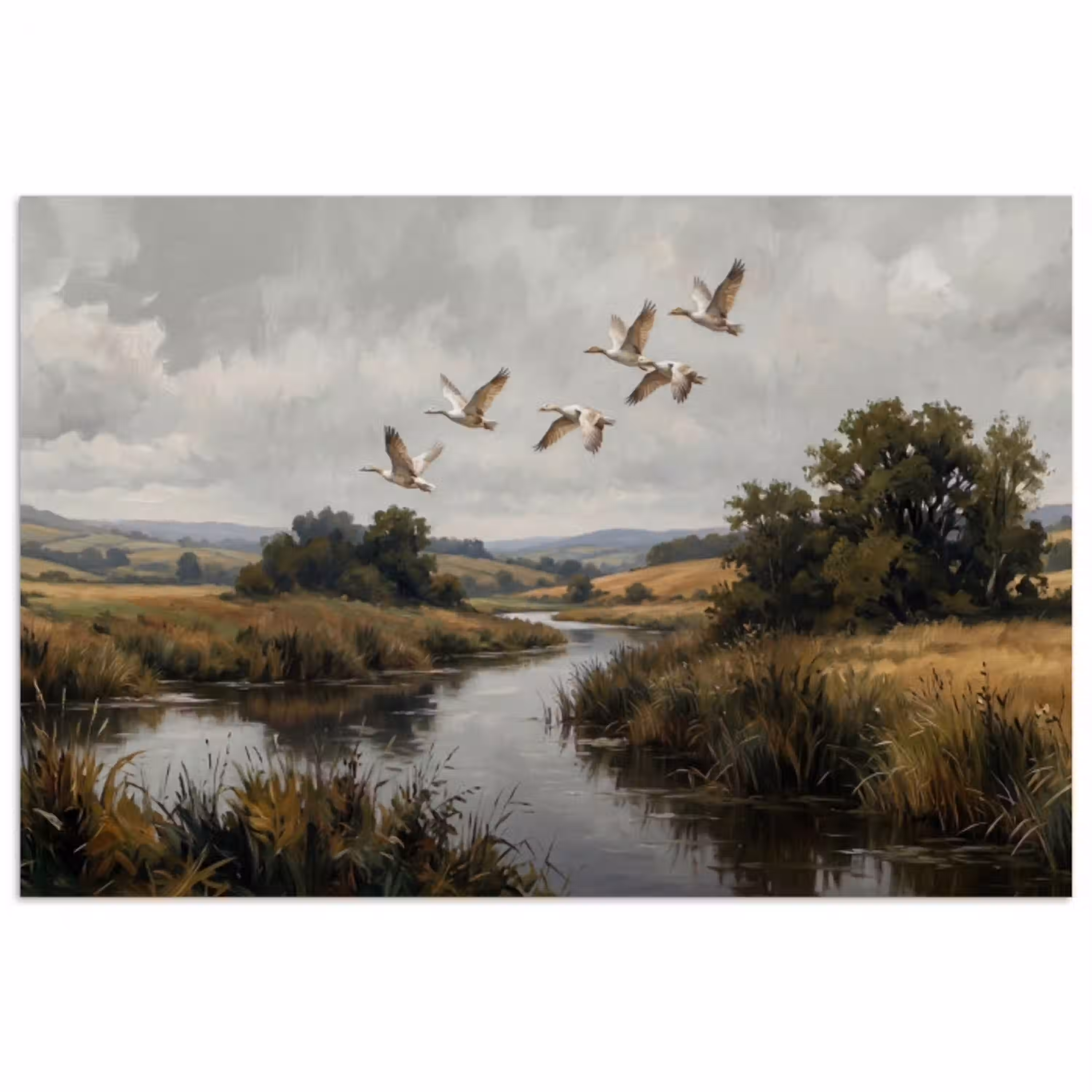 Eenden - Rivier - Landschap - Vlucht - Nostalgisch poster papier klein -3d