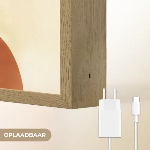 Planten - Abstract - Vormen Light Box met batterij (Wandlamp) middel -USP_websiteoplaadbaarNL