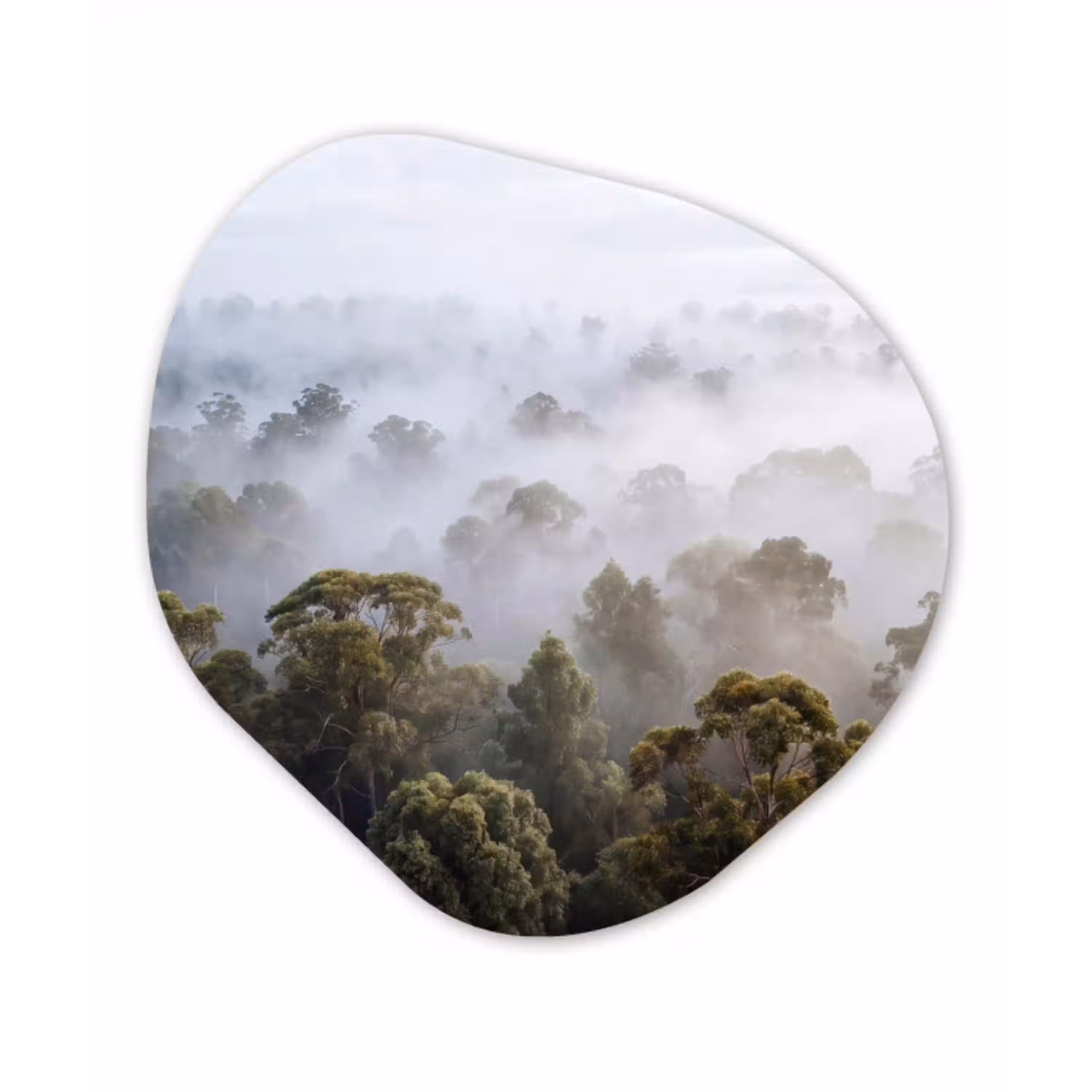 Natuur - Mist - Bos - Ochtend - Goud Wandcirkel Organisch Forex 3mm klein -3d