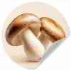 Champignons - Zacht - Beige Wandcirkel behangsticker klein -3d