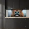 Schotse hooglander - Neus - Bruin keuken achterwand 2 middel -sfeer1