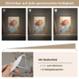 Zeemeermin - Water - Vissen - Rood Light Box met kabel klein -USP_dimbaarDE