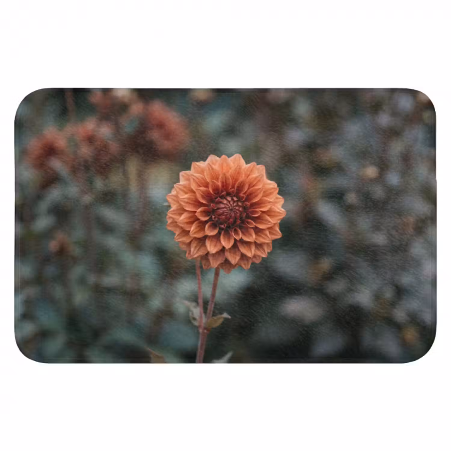 Badematte - Dahlie - Blume - Natur - Atmosphärisch