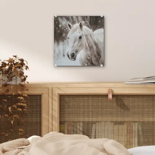 Paard - Wit - Winter - Natuur - Sneeuw - Dieren plexiglas 5mm klein -sfeer4