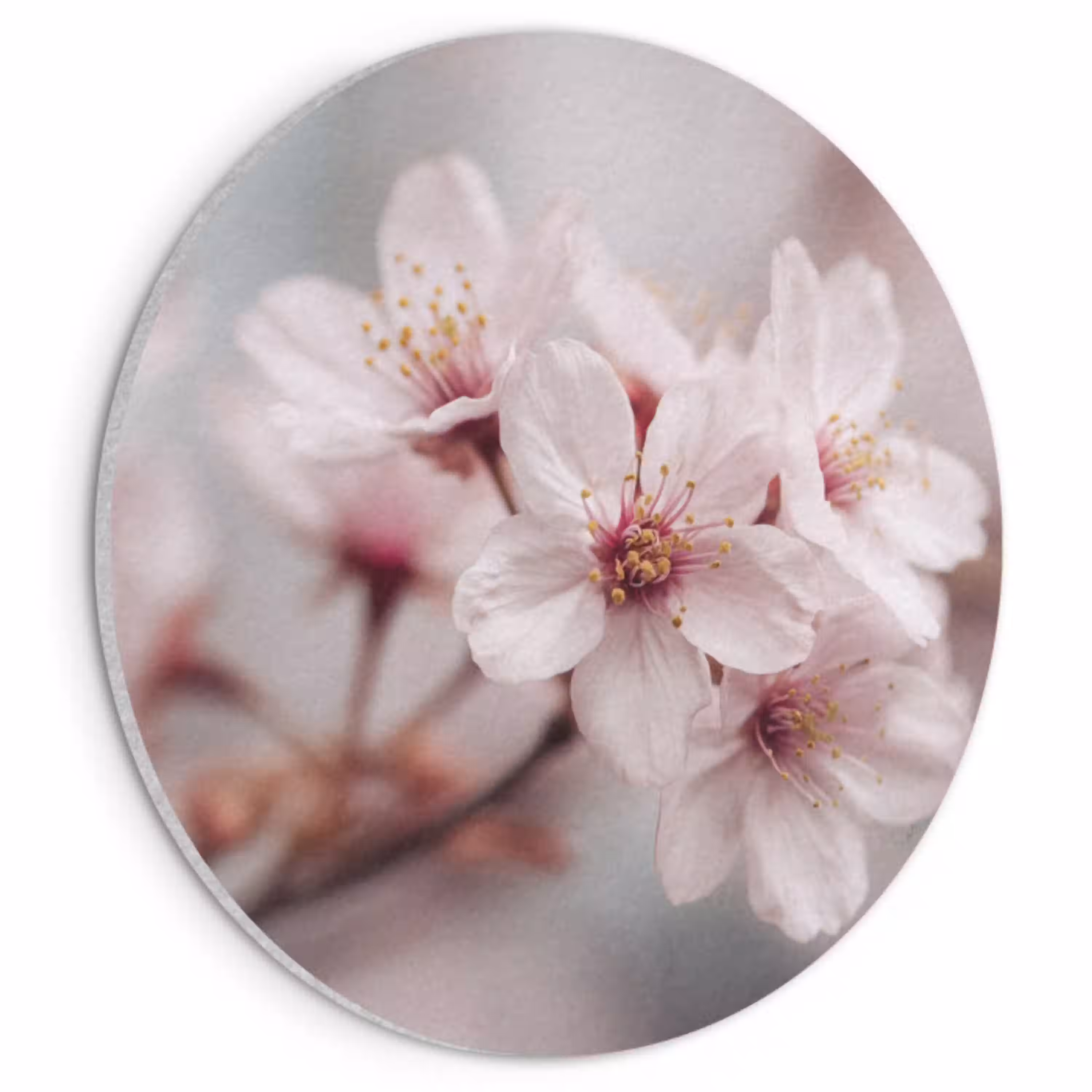 Bloesems - Meeldraden - Geel - Wazig Akoestische PET Vilt - Rond klein -3d