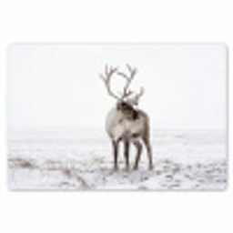 Rendier - Gewei - Sneeuw - Winter Placemat vinyl groot -zzsfeer1_Kitchenyeah-website