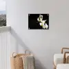 Orchidee - Bloemen - Planten - Botanisch tuinposter los doek klein -sfeer8