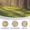 Bos - Gras - Zonlicht Akoestische PET Vilt - Rond klein -closeup_NL