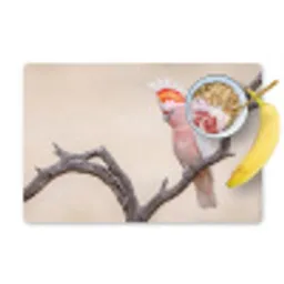 Papagaai - Tak - Roze Placemat vinyl groot -zzzproduct_Kitchenyeah-website