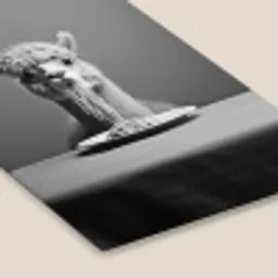 Alpaca - Pasta - Zwart - Wit - Grappig - Dieren fotolijst zwart zonder passe partout klein -zsfeer6