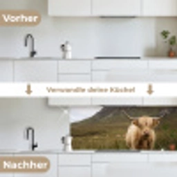 Schotse hooglander - Bergen - Grasveld keuken achterwand 2 middel -voor-na_DE