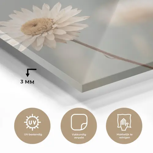 Strobloemen - Wit - Daglicht plexiglas 5mm klein -sfeer2