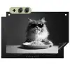 Langharige kat - Zonnebril - Spaghetti - Humor - Zwart - wit Inductie beschemer met haakjes klein -3d